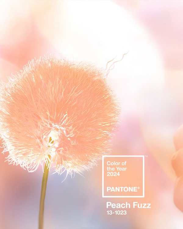 Pantone unveils its 2024 colour of the year - Peach Fuzz.